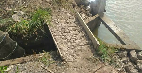 Bán đất vuông 12 công và 229m thổ cư, 96m đất vườn ở xã Tắc Vân Cà Mau