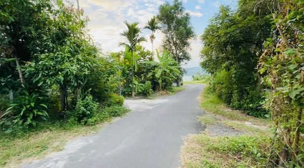 Đất thổ cư có vườn cây ăn trái mặt tiền đường Thành Hồ Diên Phước, ( Diên Thọ mới )