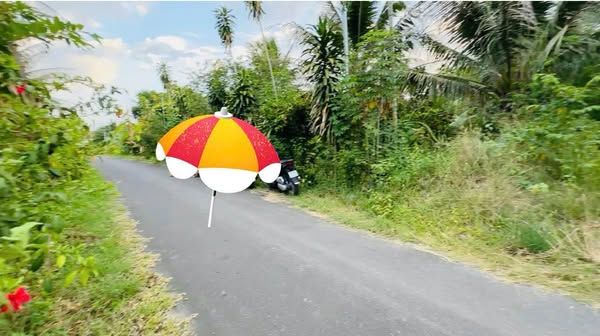 Đất thổ cư có vườn cây ăn trái mặt tiền đường Thành Hồ Diên Phước, ( Diên Thọ mới )