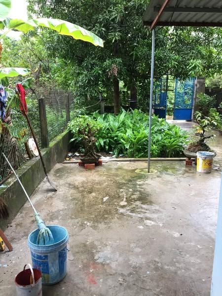 Cho thuê nhà nguyên căn chính chủ, ngay trung tâm TP Đông Hà.