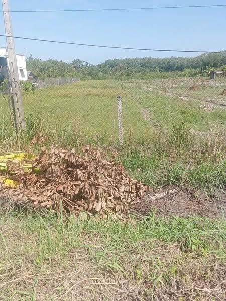 Bán 1 công 7 mặt đường nhựa Trường Xuân Trường Hoà Thành Tây Ninh