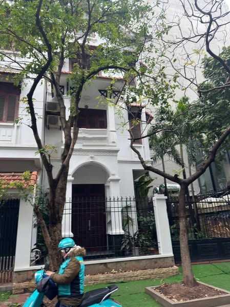 Cho Thuê Nhà Biệt Thự Chính Chủ Địa chỉ: Dịch Vọng-Cầu Giấy-Hà Nội