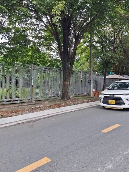 Bán đất mặt tiền Công Lý phường Bình Thọ quận Thủ Đức cũ .