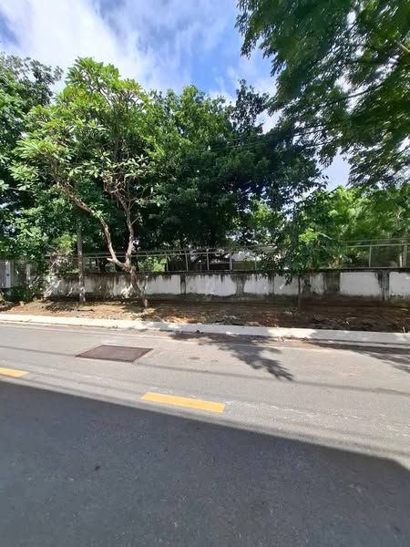 Bán đất mặt tiền Công Lý phường Bình Thọ quận Thủ Đức cũ .