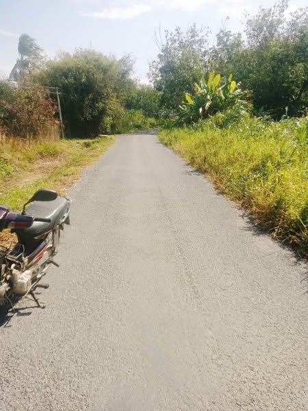 Bán 1 công 7 mặt đường nhựa Trường Xuân Trường Hoà Thành Tây Ninh