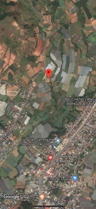 Chị khách rất dễ thương cần bán lô đất ở Lạc Dương S = 3200m giá chỉ 3,5 tỷ.