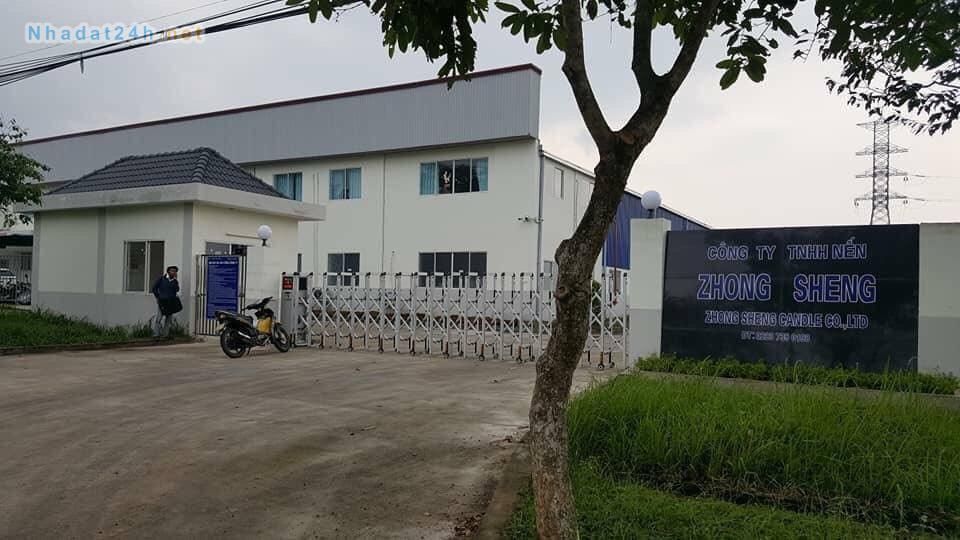 ĐẤT TX BẾN CÁT BÌNH DƯƠNG 550 M2 730 TRIỆU,GỌI BÁC MƯỜI THỌ CHỦ ĐẤT (KHÔNG TRUNG