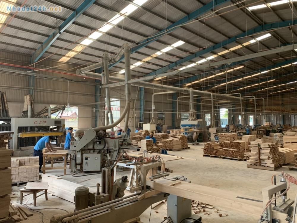 BÁN XƯỞNG LÀM NỘI THẤT GỖ, 8800M2, TÂN AN, VĨNH CỬU, ĐỒNG NAI
