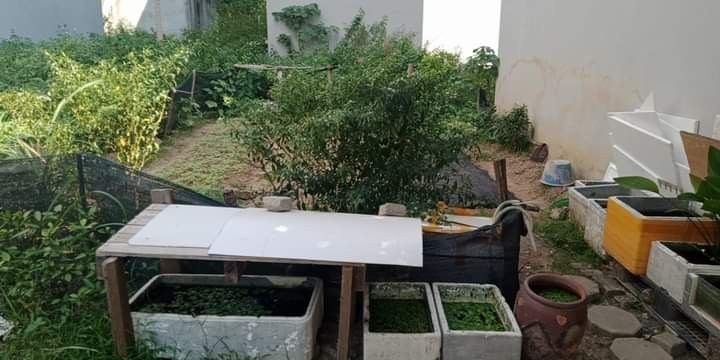 Phân Lô trục chính khu B Khu đô thị Yên Nghĩa - Ô Tô Tránh - Vỉa Hè - Kinh Doanh - Sát Vành Đai 4.