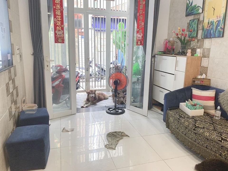 NHÀ MẶT TIỀN ĐƯỜNG CÔNG CHÚA NGỌC HÂN, QUẬN 11, 5 LẦU FULL NỘI THẤT, CHỈ 6.8 TỶ