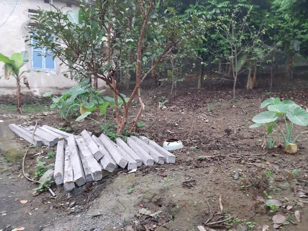 CẦN BÁN GẤP ĐẤT NHÀ XƯỞNG KHU VỰC LƯƠNG SƠN DT 9000M