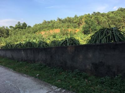Do không làm & cần tiền nên nhà e bán khu đất tại xóm Mỵ - xã Yên Mông- tp. Hoà Bình.