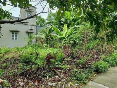 Chưa đến 1 tỷ có ngay mảnh đất 56m2 Vĩnh Ninh Thanh Trì vị trí đẹp gần đường gần chợ