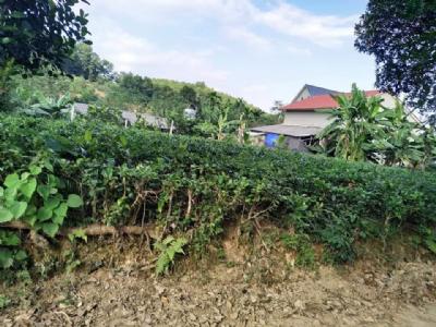 Bán Mảnh Đất Tại Thạch Thất Hoà Lạc , Cạnh trường đại học quốc gia Hà Nội , Giá Hạt Rẻ