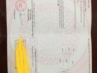 Do gia đình có việc cần bán gấp sổ đỏ chính chủ.Mặt đường 24m khu đấu giá Lai Xá . Hoài đức