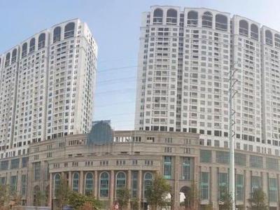 Mình cần cho thuê căn hộ Roman Plaza Tố Hữu (Lê Văn lương kéo dài)