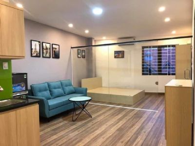 Cho thuê CCMN 1n1k. tại ngõ 123 trung kính cầu giấy. Hà nội. Nhà mới 100%.
