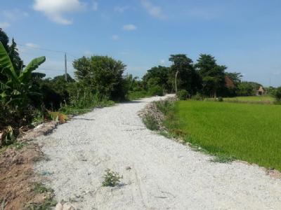 Bán gấp 8 công mặt tiền kênh Tây An Vị trí cách Sinh Thái Tư Phương 1 km