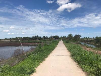 Bán Đất Vườn Có Thổ Cư Giá Rẻ, Vĩnh Trạch, Tp Bạc Liêu