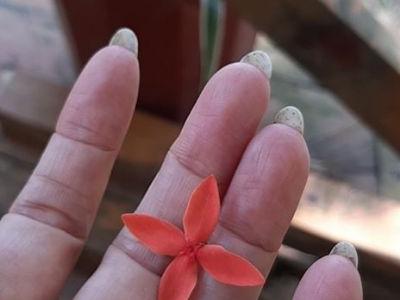 Do nhu cầu cv em cần bán nhà cấp 4 trên tổng diện tích đất là 150m2. Hợp Giang CB