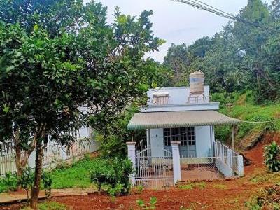 Bán nhà có đất rộng 500m2 (100m thổ cư) Tổ 2 - phường Nghĩa Phú, bên hông công an tỉnh