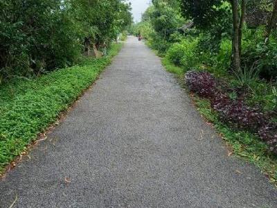 Cần bán gấp miếng đất mặt tiền rộng, đẹp, xã Vĩnh Thuận Đông.