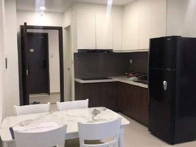 Cho thuê căn hộ 2pn 2wc full nội thất y hình CENTRAL PREMIUM Q8