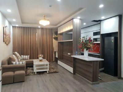 Chính chủ cho thuê Chung cư Vietduc Complex căn 1pn 50m2 full đồ