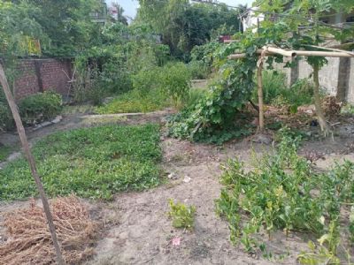 bán lô đất phường đông vịnh, cách đường trường tộ 20m  288m( rộng ngang 8) ở và làm vườn nuôi gà
