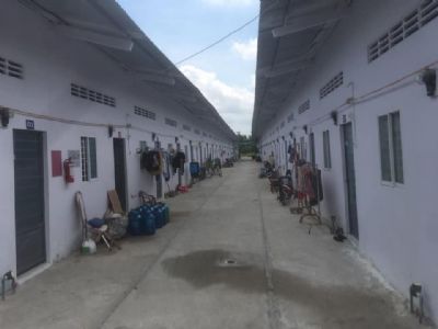 Cần bán đất tại xã Giao Hoà, H.Châu Thành, T.Bến Tre. Cơ hội kinh doanh cho nhà đầu tư lâu dài.