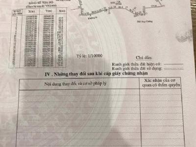 Gia đình Trang cần bán tám hecta đất rừng thôn Trạng Sòi - Triệu Ái - Triệu Phong