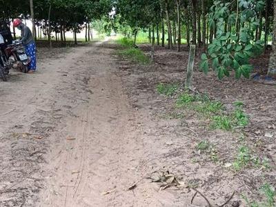 Cần bán Đất Châu Thành cách thị xã 12km cách nhựa 800m đường đất thông tứ hướng