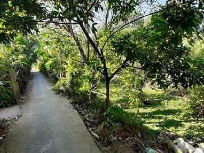 BÁN ĐẤT CÔNG PHÚ THỨ, CÁI RĂNG  2880m2 đất CLN, ngang 31m, đất nở hậu hình chữ L. 980.000/m2