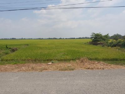 Cần bán: diện tích 25 công đất ruộng (25.000m2) không bán lẽ. đối diện với hồ cá Nam Việt.