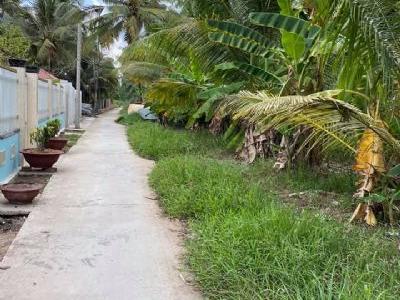 Cần bán đất  tại Phường Phú Khương tỉnh Bến Tre. Đầu tư sinh lợi nhuận cao.