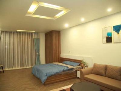 Cho Thuê  Căn hộ 1 ngủ sang trọng tại Khu đô thị Waterfront City