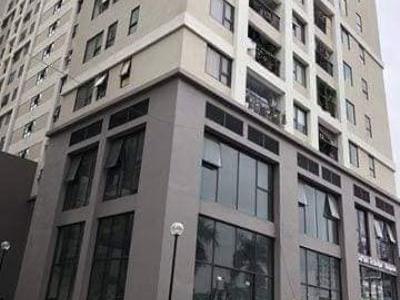 Bán Chung cư HOME- 987 TAM TRINH, QUẬN HOÀNG MAI ( cách cầu Mai Động/ phố Minh Khai 2.5km)