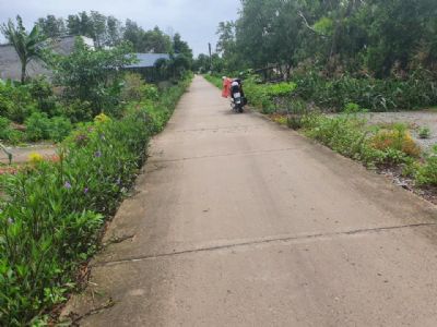Bán gấp đất kênh Ông Bổn, khóm 4, phường 8  Cà mau. Cách Trường Lương Thế Vinh khoản 300m.