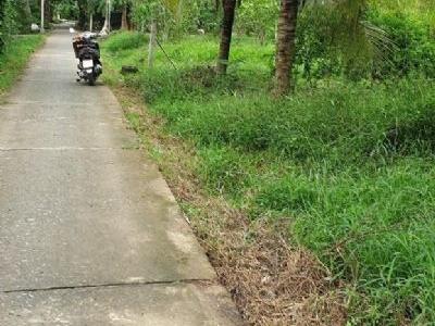 THU HỒI VỐN CẦN BÁN GẤP ĐẤT TAM PHƯỚC, CHÂU THÀNH, BẾN TRE