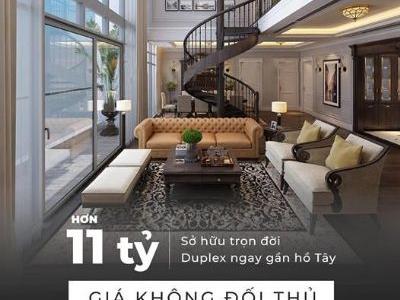 Vị trí 