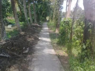 Bán 1300m2 đất tại xã Vị tân, TP Vị Thanh, HG.