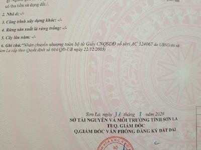BÁN NHANH THỬA ĐẤT FULL THỔ CƯ BÌA CHÍNH CHỦ NGAY GẦN TRƯỜNG MẦM NON SMARTKIDS VÀ TH QUYẾT THẮNG