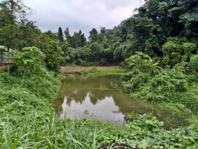 Bán nhà xuân giao 1,5 ha , có nhà xây cấp 4 , có đường bê tông vào tận ngõ , có ao to rộng 5000m2