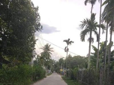 ĐẤT TAM XUÂN 1 ĐẸP RẺ Nằm ngay đường tránh trạm thu phí, cách quốc lộ 300m
