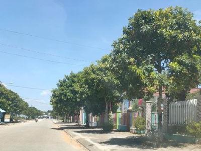 BÁN ĐẤT ĐƯỜNG SỐ 4 THỊ TRẤN NÚI THÀNH