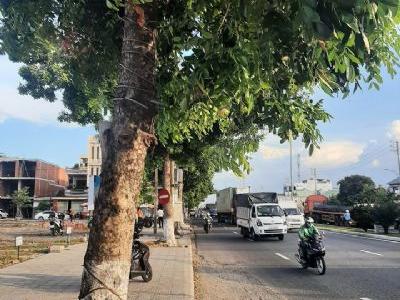 Bán nhanh lô mt Trường Chinh ,p.An Khê, Thanh Khê, Đà Nẵng.