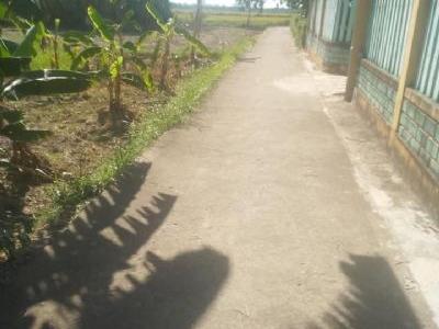Bán đất kiệt phạm hồng thái. đất đẹp thoáng mát. Diện tích: 10 x 22