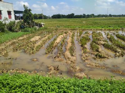 Bán lô đất 200m2 ,10m*20m tại Thôn Đồng Lương. Xã Vạn Hoà. Nông Cống