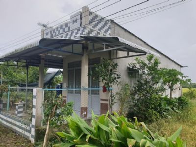 BÁN NHÀ VÀ ĐẤT GIÁ RẺ VỊ THANH HẬU GIANG 14x20 có 123m thổ cư, hàng rào kiên cố bao quanh