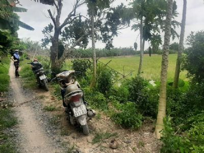 Cần bán lô đất ruộng phường Mỹ Thới, Long Xuyên, AG ++ Diện tích: 7099 m2 (7 công ruộng)